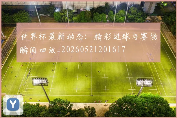 世界杯最新动态:精彩进球与赛场瞬间回放_20260521201617